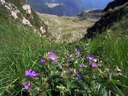 91 fiorito, con vista sul Bivacco Zamboni.....